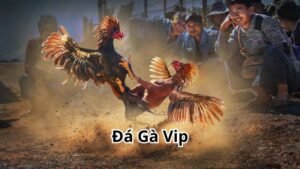 da ga vip