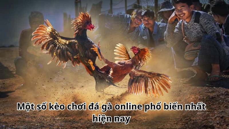 Một số kèo chơi đá gà online phổ biến nhất hiện nay