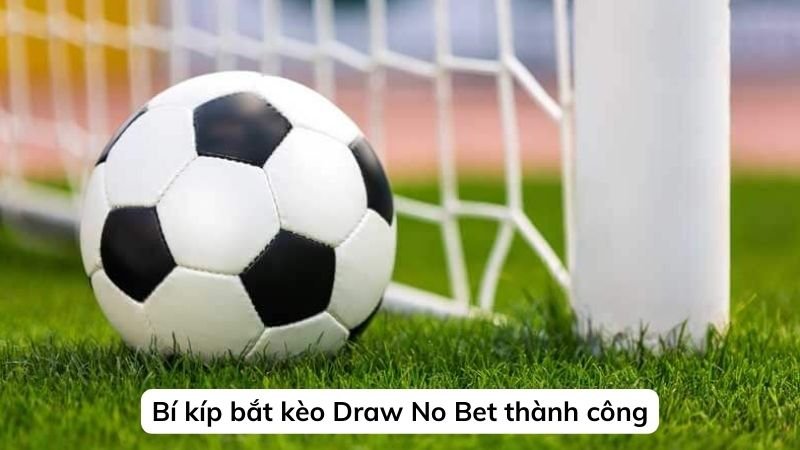 Bí kíp bắt kèo Draw No Bet thành công